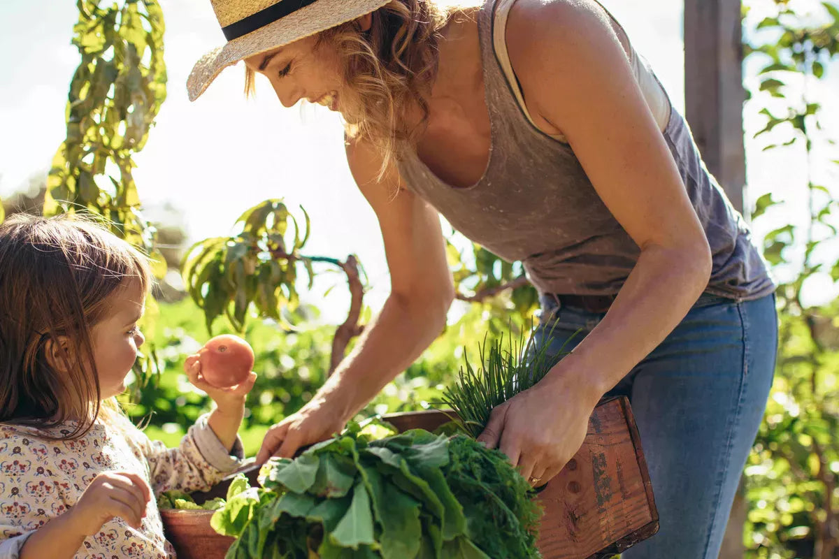 Sustainability in the Kitchen – Tips for an Environmentally Conscious Approach to Cooking and Eating